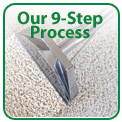 Eco Choice 9 Step Cleaning Process